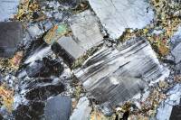 Métagabbro à hornblende LPA x3,5